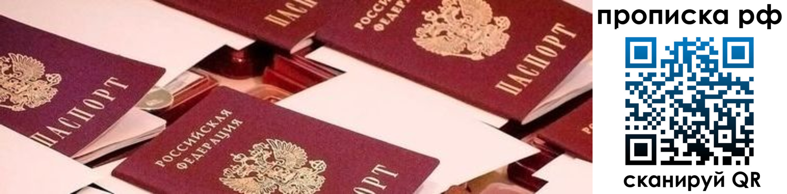 прописка поиск в Калининграде